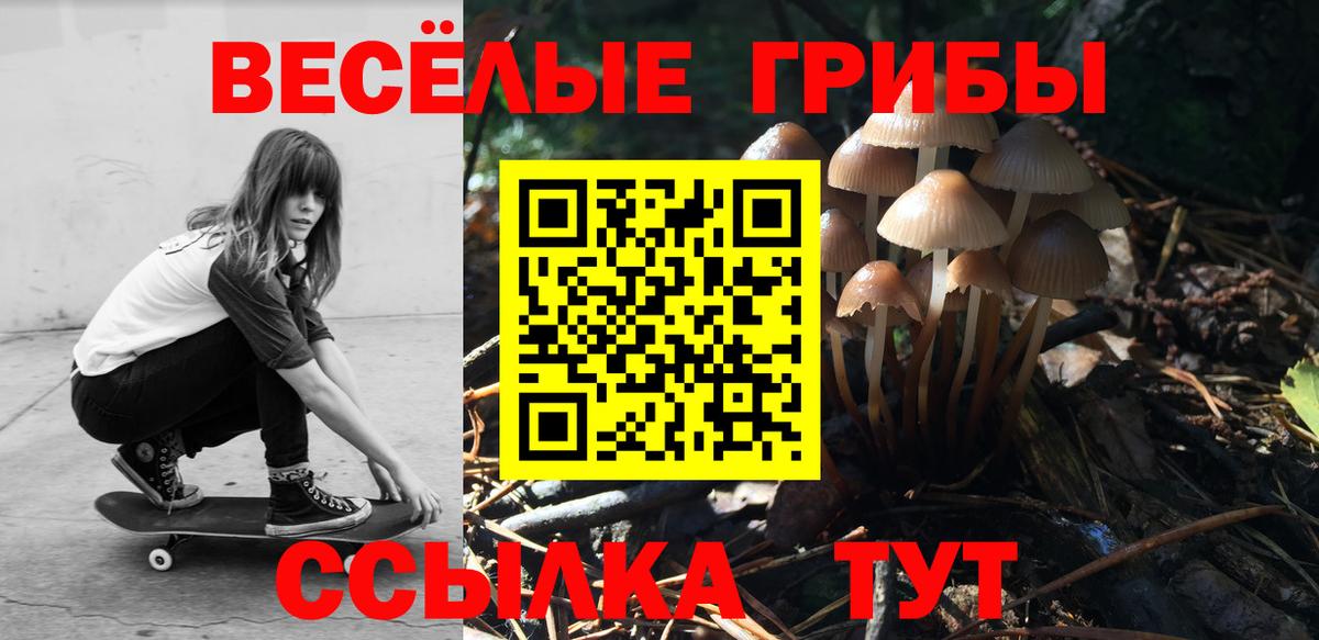 Галлюциногенные грибы прущие грибы Йошкар-Ола